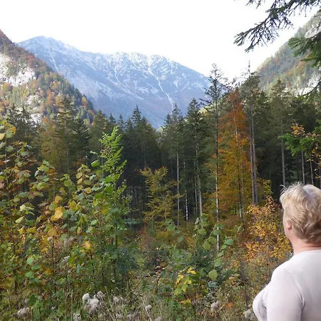 Haus Bergblick Appartement Obertraun