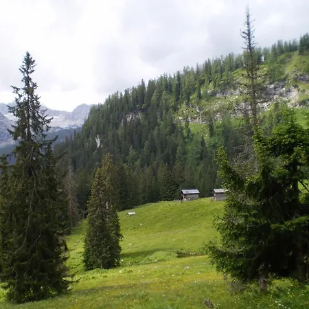 Apartment Haus Bergblick