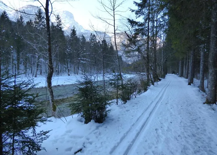 Haus Bergblick Appartement Obertraun